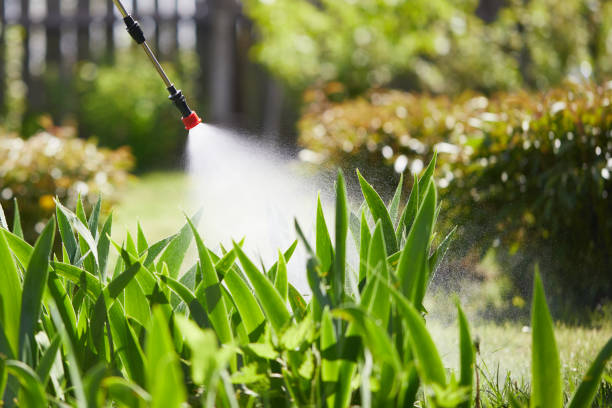 24/7 Emergency Wasp Removal experts in Forest Acres, SC