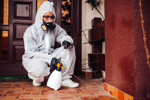 Reliable Wasp Removal contractor in Forest Acres, SC by Show Me Pest Control